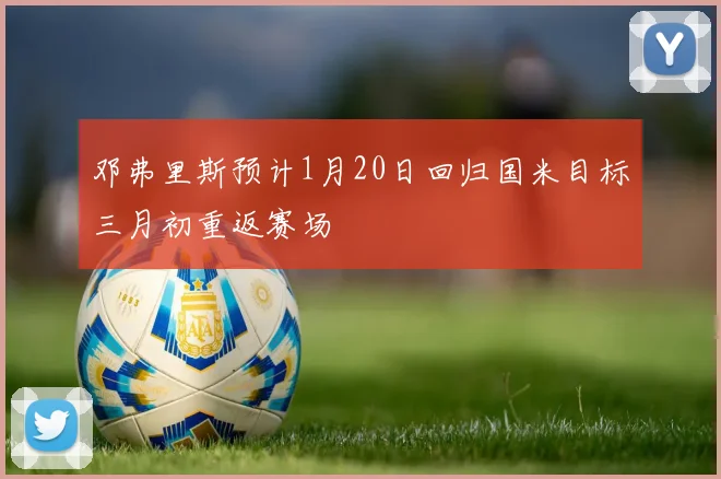 邓弗里斯预计1月20日回归国米目标三月初重返赛场