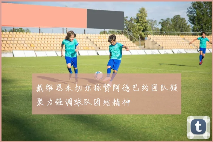 戴维恩米切尔称赞阿德巴约团队凝聚力强调球队团结精神