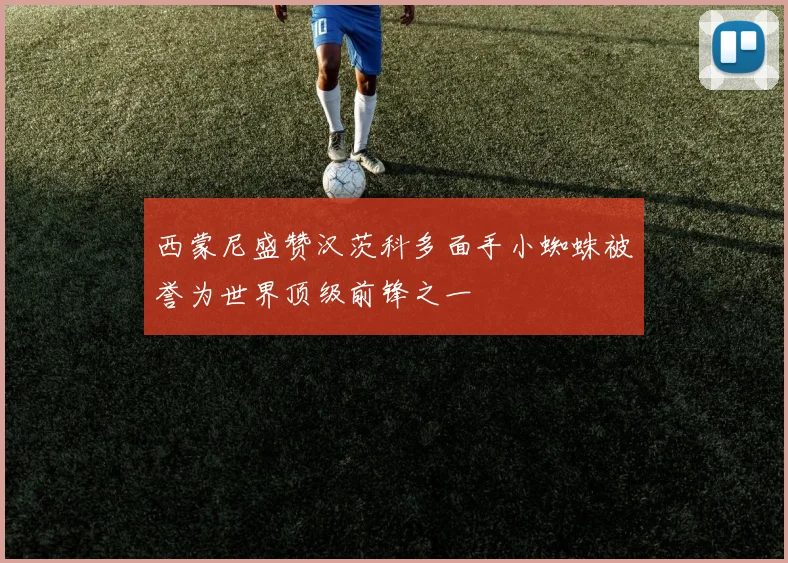 西蒙尼盛赞汉茨科多面手小蜘蛛被誉为世界顶级前锋之一