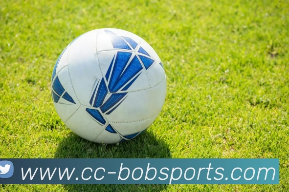 BOB体育平台生态图