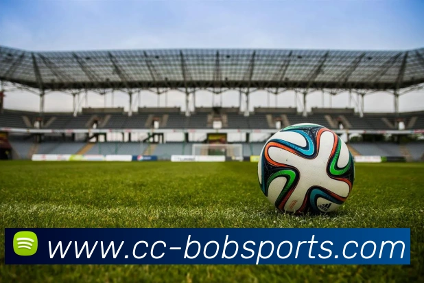 BOB体育APP 封面图