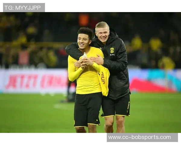 范巴斯滕：社交媒体负面评论对球员的影响与应对之道